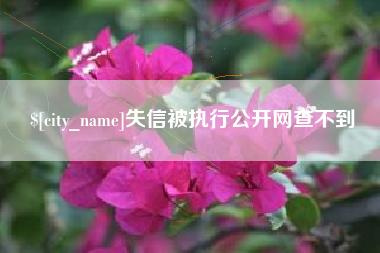 固始失信被执行公开网查不到