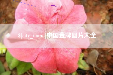 固始中国金牌图片大全