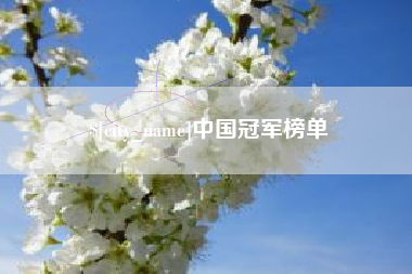 固始中国冠军榜单