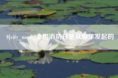 固始全国消防日是从哪年发起的
