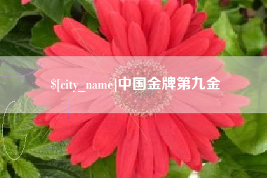 固始中国金牌第九金