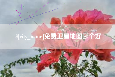 固始免费卫星地图哪个好