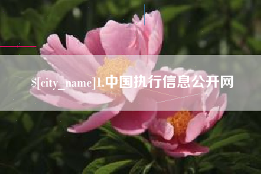 固始1.中国执行信息公开网