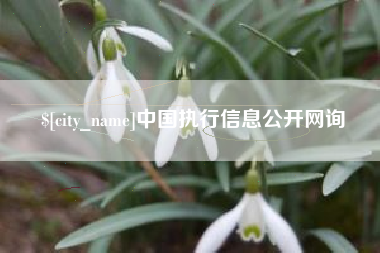 固始中国执行信息公开网询