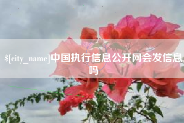 固始中国执行信息公开网会发信息吗