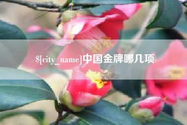 固始中国金牌哪几项