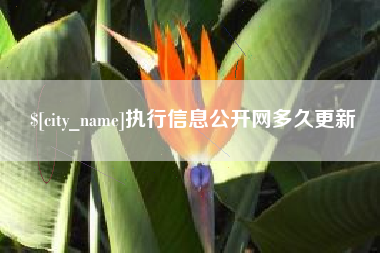 固始执行信息公开网多久更新