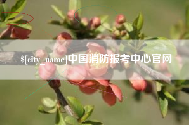 固始中国消防报考中心官网