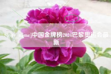 固始中国金牌榜2024巴黎奥运会最新