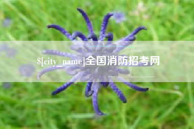 固始全国消防招考网