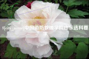 固始中国消防救援学院山东选科要求