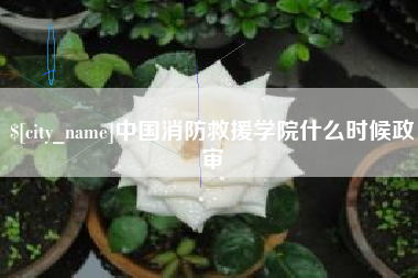 固始中国消防救援学院什么时候政审