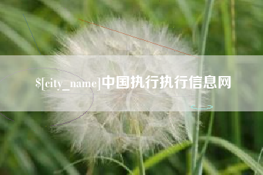 固始中国执行执行信息网