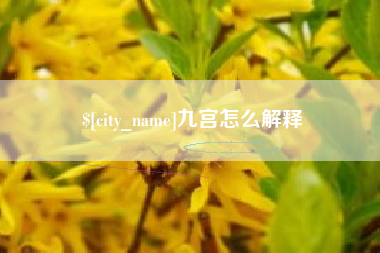 固始九宫怎么解释