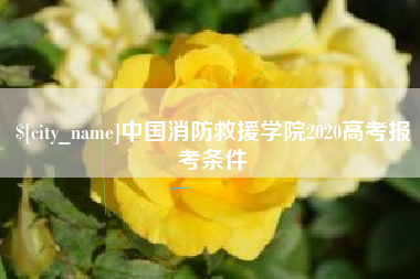 固始中国消防救援学院2020高考报考条件