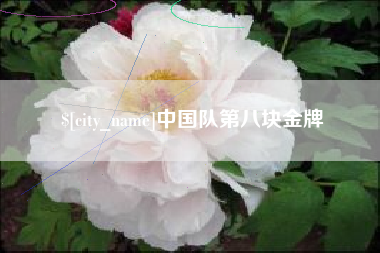 固始中国队第八块金牌