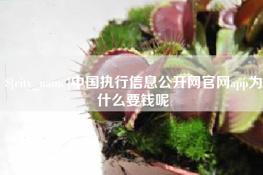 固始中国执行信息公开网官网app为什么要钱呢