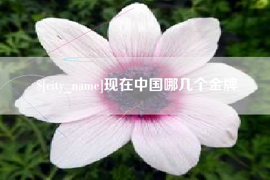 固始现在中国哪几个金牌
