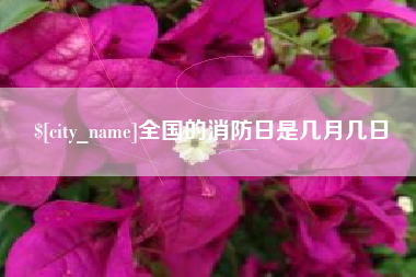固始全国的消防日是几月几日