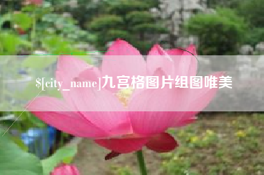 固始九宫格图片组图唯美