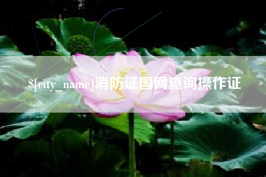 固始消防证国网查询操作证