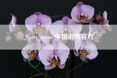 固始中国消防官方