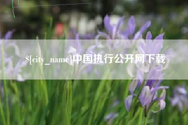固始中国执行公开网下载