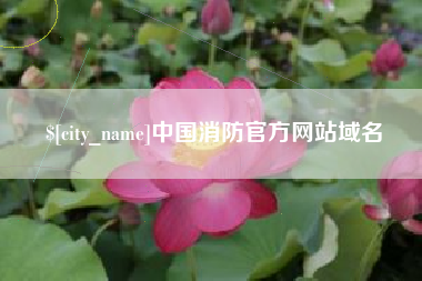 固始中国消防官方网站域名