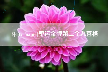 固始奥运金牌第二个九宫格