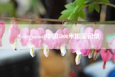 固始中国5000米国家记录