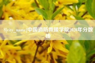 固始中国消防救援学院2020年分数线
