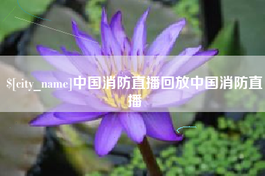 固始中国消防直播回放中国消防直播