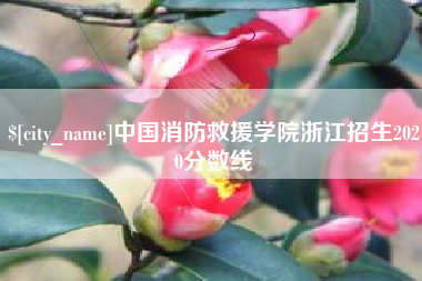 固始中国消防救援学院浙江招生2020分数线