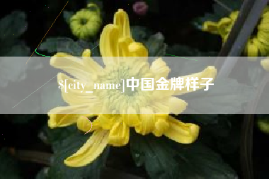 固始中国金牌样子