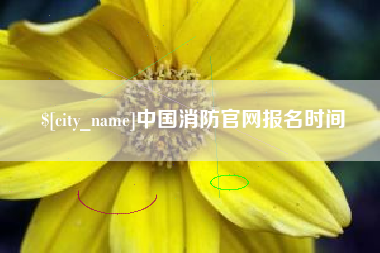 固始中国消防官网报名时间