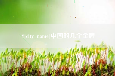 固始中国的几个金牌