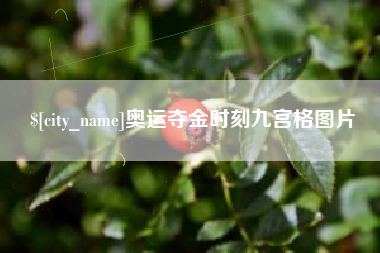 固始奥运夺金时刻九宫格图片