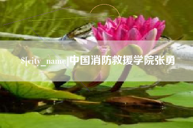 固始中国消防救援学院张勇
