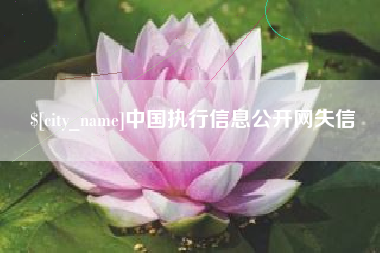 固始中国执行信息公开网失信