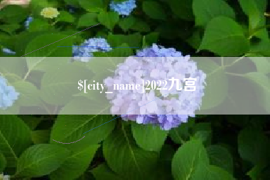 固始2022九宫