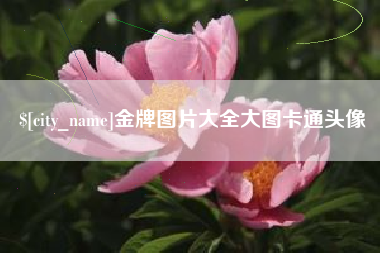 固始金牌图片大全大图卡通头像