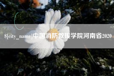 固始中国消防救援学院河南省2020